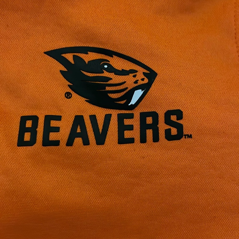 Boy (8-10) Oregon Statee Beaver hoodie